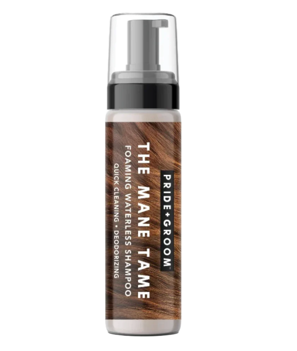 THE MANE TAME